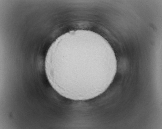 X0000116040866200912312230