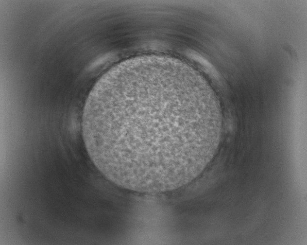 X0000116040869200912312230