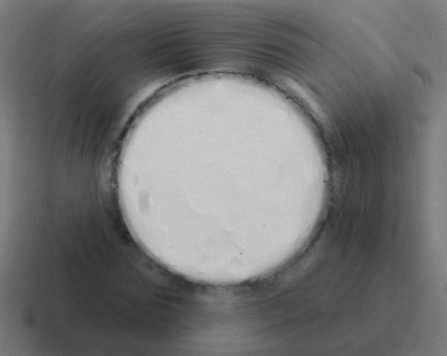 X0000116040875200912312230