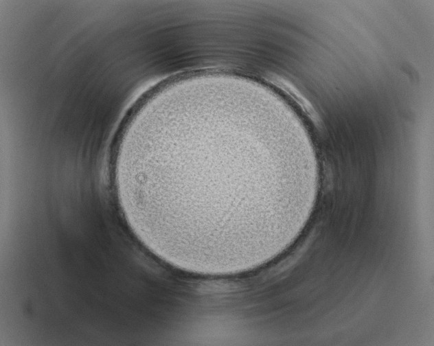 X0000116040883200912312230