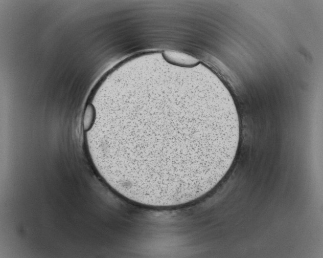 X0000116040892200912312230