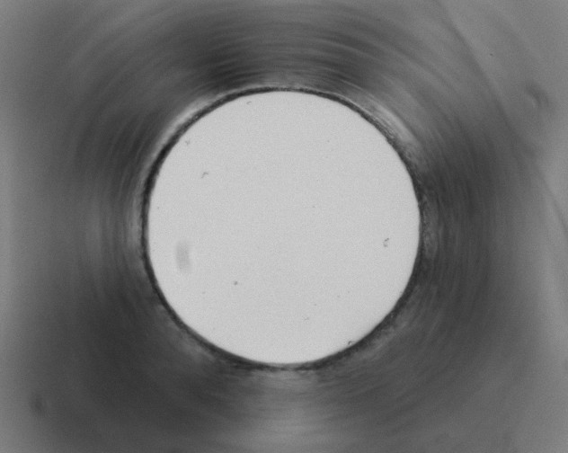 X0000116040896200912312230