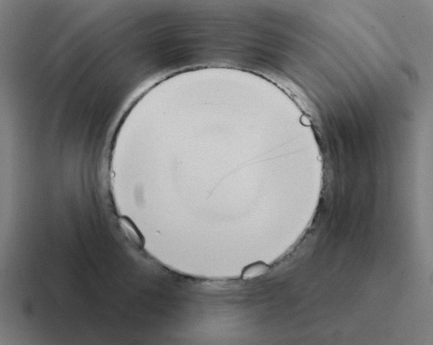 X0000116040904200912312230