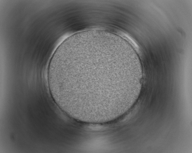 X0000116040907200912312230