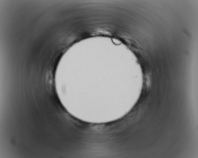 X0000116040915200912312229