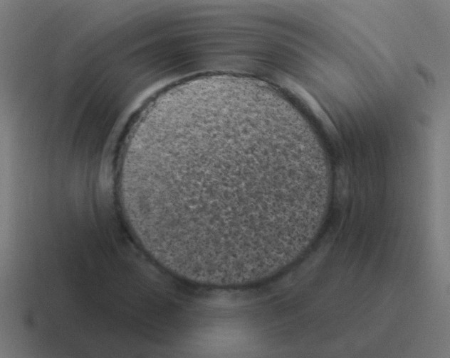 X0000116040923200912312229