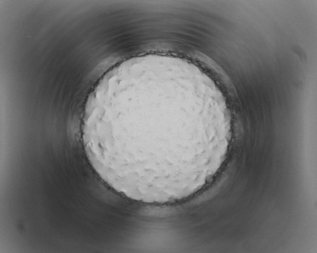 X0000116040929200912312229