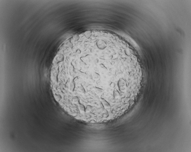 X0000116040953200912312230