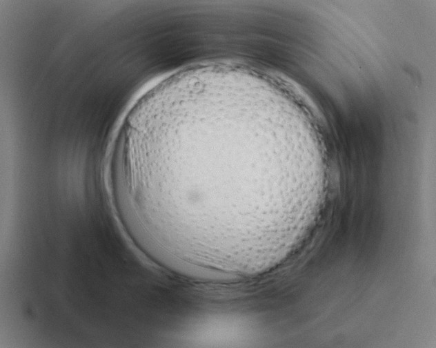 X0000116040959200912312230