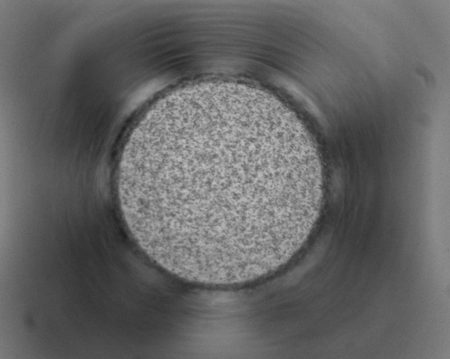 X0000116040970200912312229