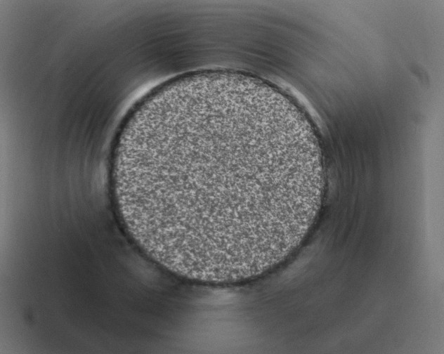 X0000116040975200912312229