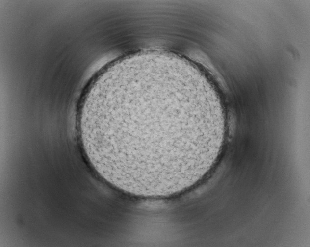 X0000116040978200912312229