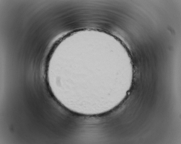 X0000116040979200912312229