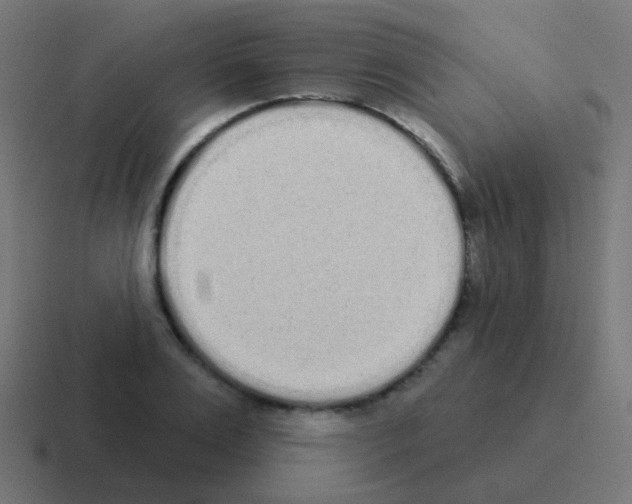 X0000116040983200912312229