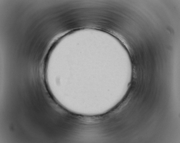X0000116040987200912312229