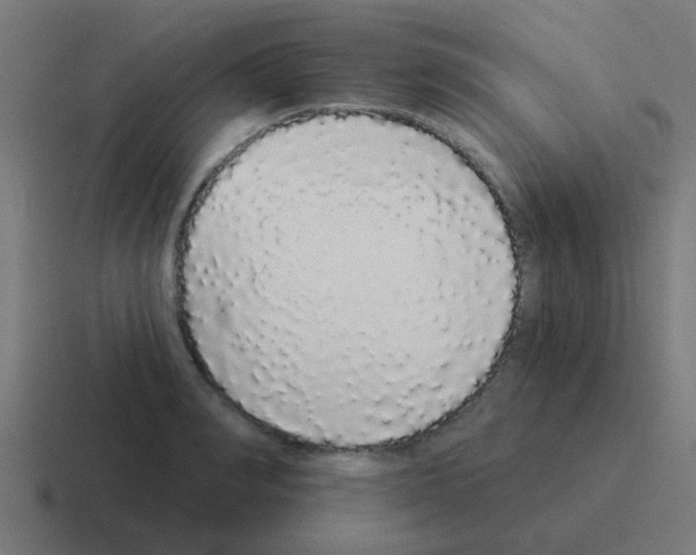 X0000116040990200912312229