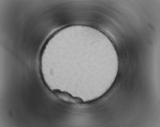 X0000116040992200912312229