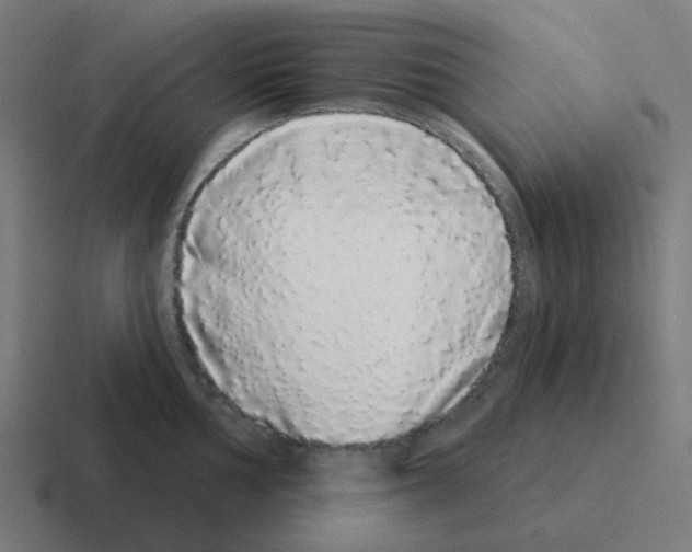X0000116041002200912312229