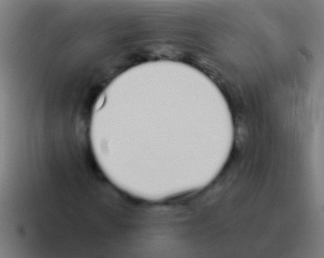 X0000116041010200912312228