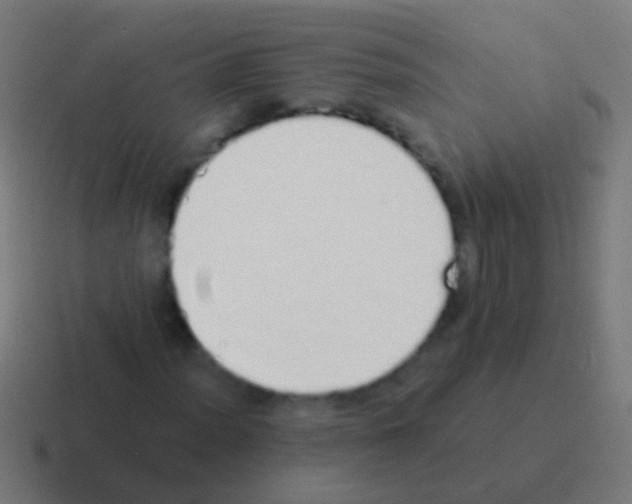 X0000116041012200912312228