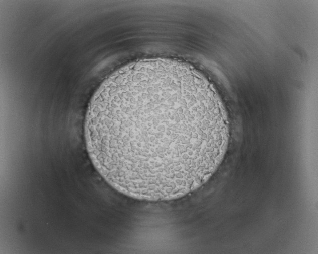 X0000116041015200912312228