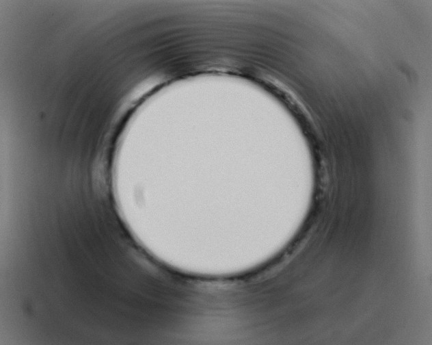 X0000116041018200912312228