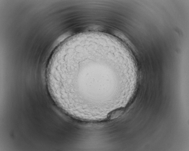 X0000116041026200912312228