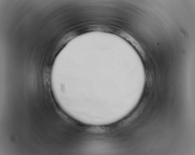 X0000116041049200912312229