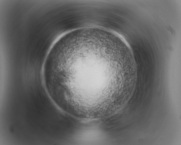 X0000116041056200912312229