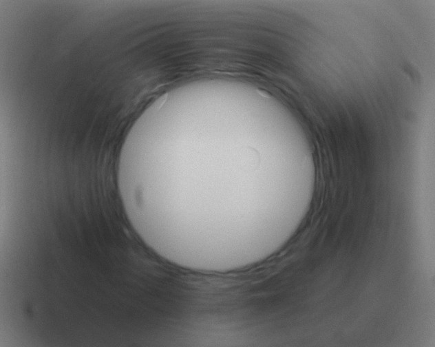 X0000116041060200912312228