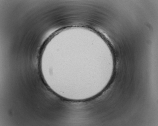 X0000116041066200912312228