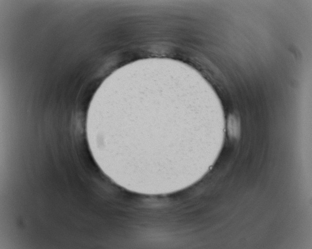 X0000116041107200912312227