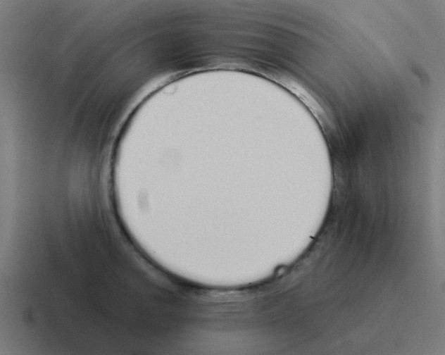 X0000116041142200912312227