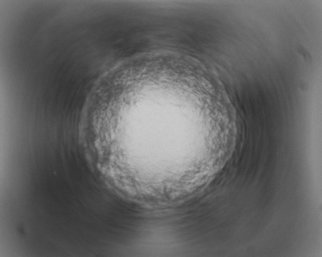 X0000116041156200912312227