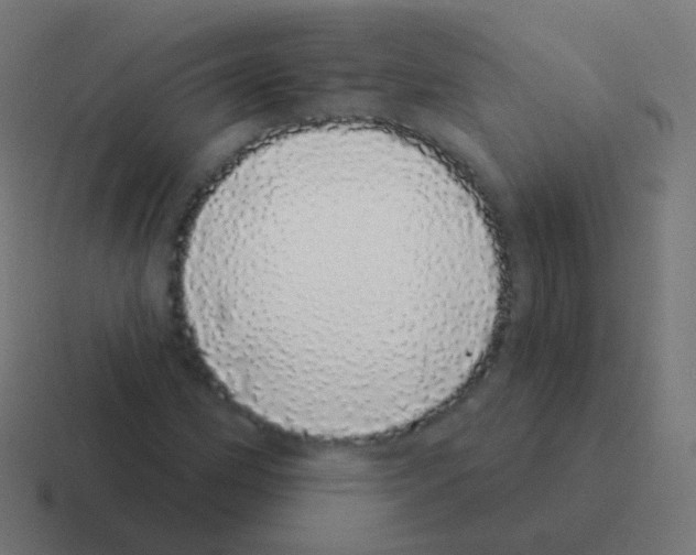 X0000116041162200912312227