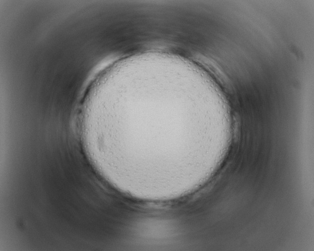 X0000116041164200912312227