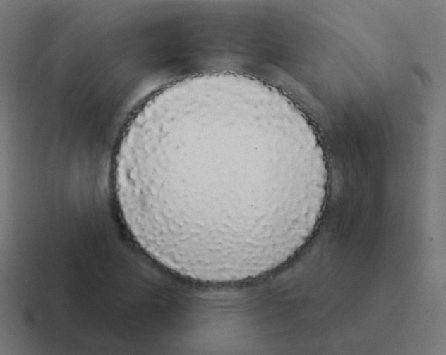 X0000116041174200912312227
