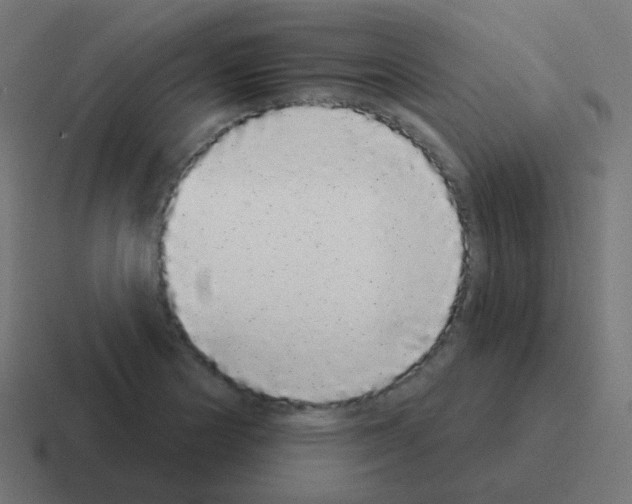 X0000116041178200912312226