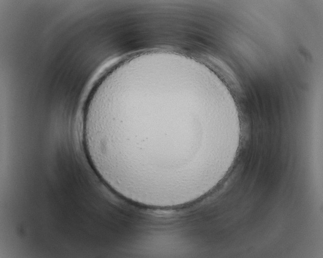 X0000116041180200912312226