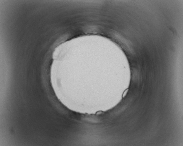 X0000116041201200912312226