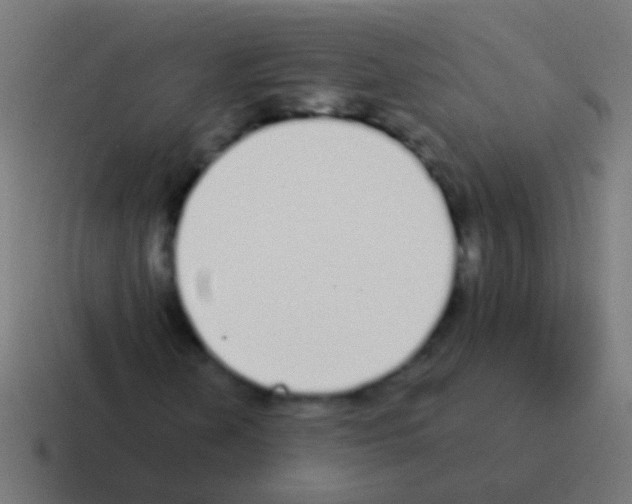 X0000116041202200912312226