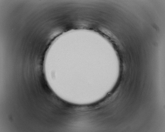 X0000116041210200912312226
