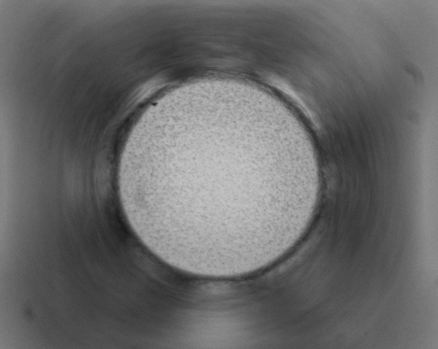 X0000116041211200912312226