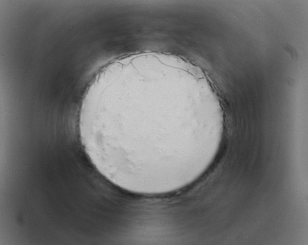 X0000116041214200912312226