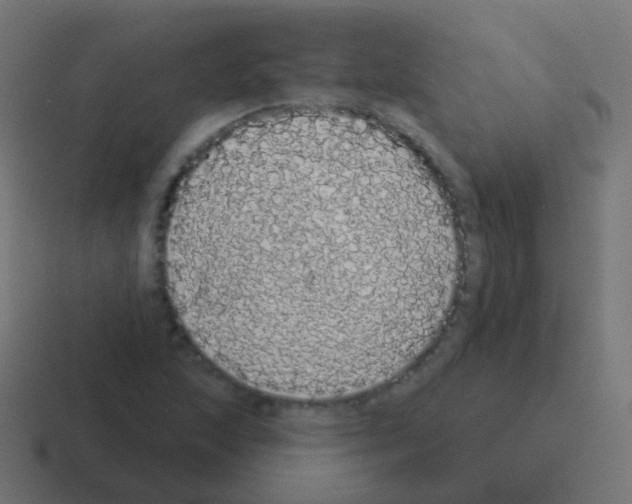 X0000116041215200912312226