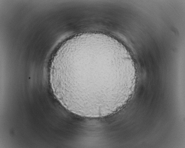 X0000116041219200912312226