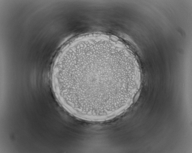 X0000116041220200912312226