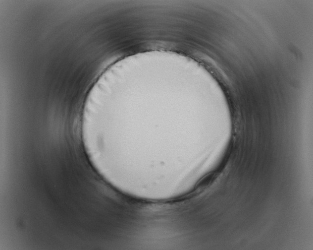 X0000116041228200912312226