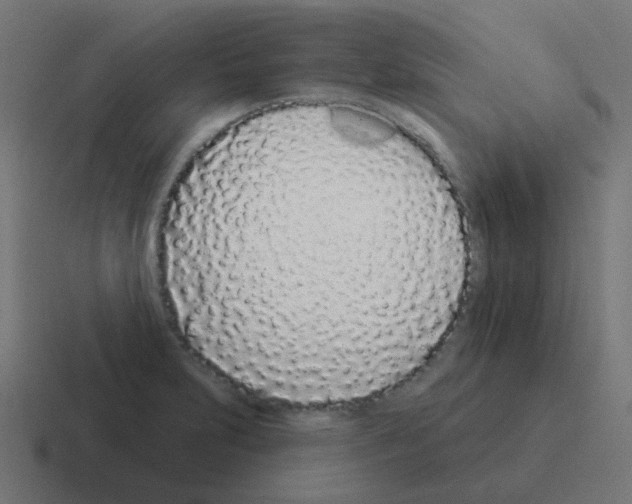 X0000116041231200912312226