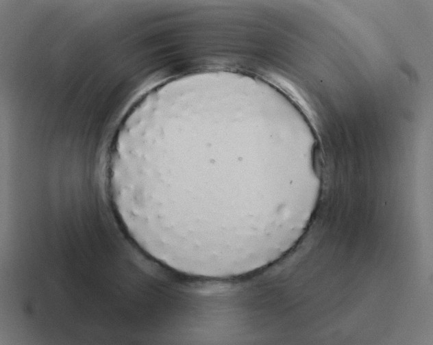X0000116041235200912312226